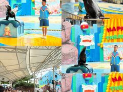 -海合安成都极地海洋公园