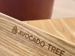 -油梨树AVOCADO TREE(嘉里中心店)