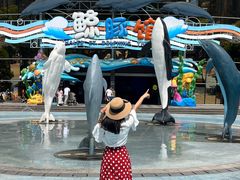 -海合安成都极地海洋公园