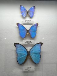 -酷嗒动物文化乐园(cutezoo西溪乐天城店)