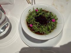 -上海总会SHANGHAICLUB(兴业太古汇店)
