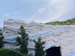 -广东惠东海龟国家级自然保护区