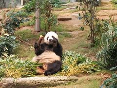 -香港海洋公园