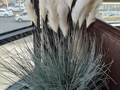 -LYFATTI 莱芙缇(赣水路店)