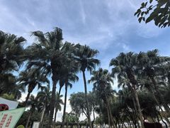 -石炮台公园