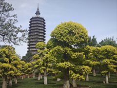 -西海子公园