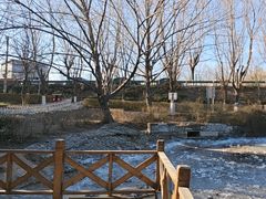 -云岗森林公园