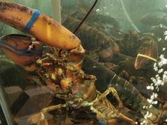 -蟹之国·精品蟹料理(极地店)