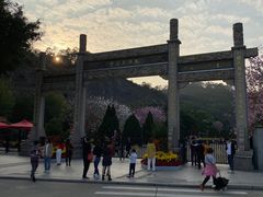 -南沙蒲洲花园