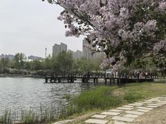 -群力丁香公园