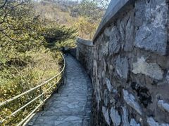 -香山公园