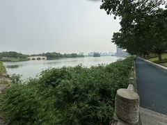 -眉山湿地公园(东坡区)
