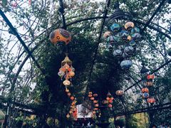 -The Grounds of Alexandria