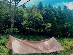-武陵山森林公园