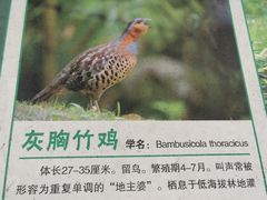 -中国湿地博物馆