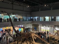 -自贡恐龙博物馆