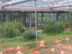 -无锡动物园·太湖欢乐园