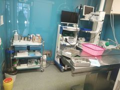 -爱诺耐芙动物医院(万博店)