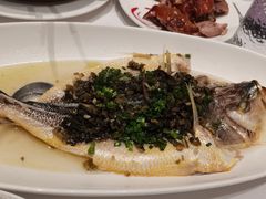 -圆苑(静安寺店)