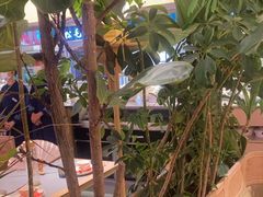 -桂满陇·蟹黄小笼汤包(中山公园店)
