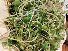 萝卜苗-正宗天津烧麦馆(柳州路店)