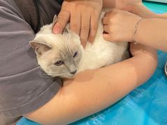 -美迦爱-牙专科·兔科·骨科诊疗中心(北苑店)