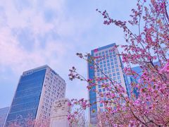 -海棠花溪(元大都城垣遗址公园)