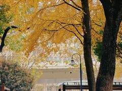 -静安公园(静安寺街道)