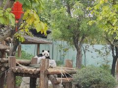 -南宁市动物园