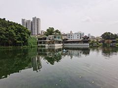 -荔湾湖公园
