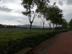 -北京张裕爱斐堡酒庄