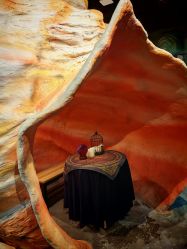 -Zoolung Zoolung动物主题公园(海信广场店)