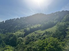 -敬亭山风景名胜区