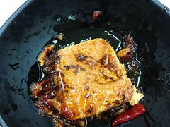 -复旦大学本部-食堂