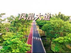 -顺峰山公园