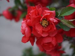 -陶然亭公园