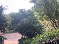 -尚圣月子会所·庄园式月子中心(萧山湘湖店)