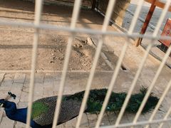 -海拉尔蒙古包(房山长阳总店)