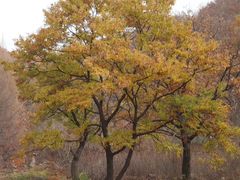 -丹东天桥沟景区