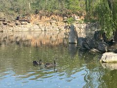 -石家庄市动物园