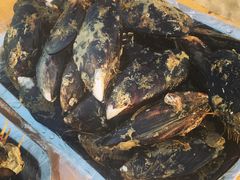 -嵊泗基湖沙滩