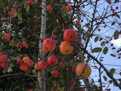 -南通洲际绿博园