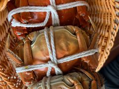 -蟹村草堂·苏式园林人文农家·大闸蟹