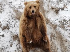-新疆天山野生动物园