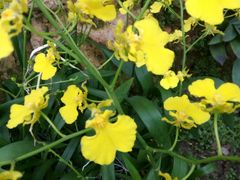 -南通洲际绿博园