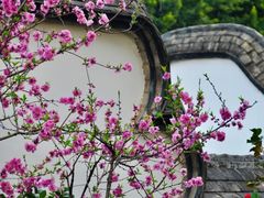 -乌山风景区