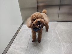 -博特宠物医院24h犬猫全科.骨科·异宠
