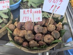 -海埂温馨饭店(金海荟·商业中心店)