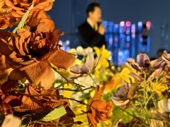 -武汉知音号