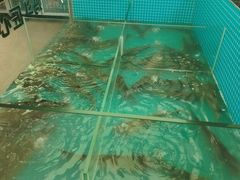 -妈斗家纸包鱼(秦隆步行街店)
